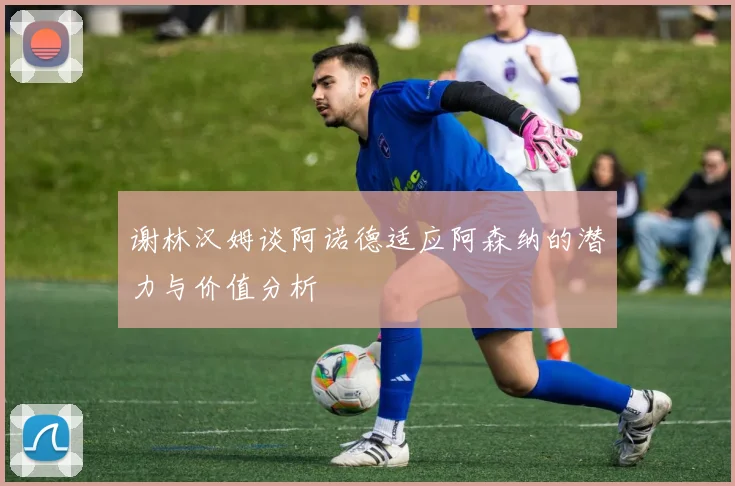 谢林汉姆谈阿诺德适应阿森纳的潜力与价值分析